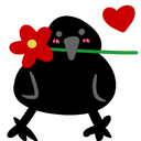 crowflower crowflower