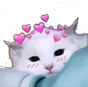 w_CattoLove