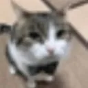 emoji_47