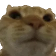 nonono