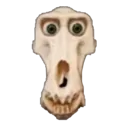 devolvedskull