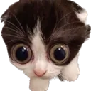 hooh
