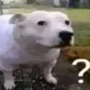 wha wha