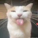 silly silly