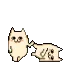 YeetToBed