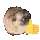 chozapproves