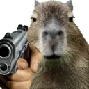 capygun