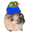Flantic Pepe Riding Discord Emoji