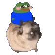 Flantic_pepe_riding