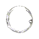 1440f9ca0119484d9a81d8b0981c59c6