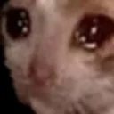 CateSobbing