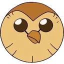 owl