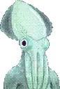 sqesus