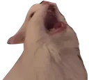 yell
