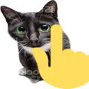 8755pointingupcat 8755pointingupcat