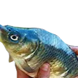 coneyIDEA