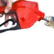 coneyCOOL