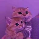 Love_Therapy