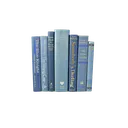 blue_books Discord Emoji