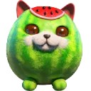 watermeloncat