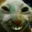 XDDD