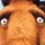 terrified
