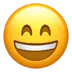 grinningfacewithsmilingeyes