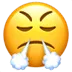 facewithsteamfromnose