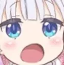 araPog