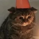 CATRACHAN Discord Emoji