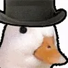 duck_hat