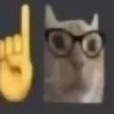 catnerd