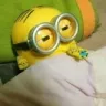 zzz