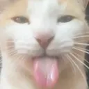 blehhhhh blehhhhh