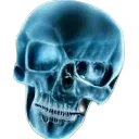 skullwhat skullwhat