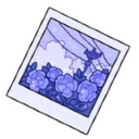 bluephoto