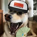 chinadog