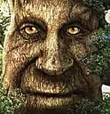 mysticaltree