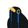 birdcry Discord Emoji