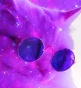 Catvibe catvibe Discord Emoji