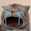 cry