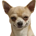 rrrr