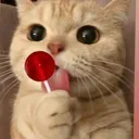 abhakitty