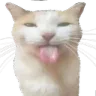 BLEH BLEH