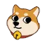 doge