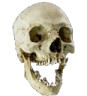 skull_pog Discord emoji