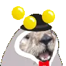HardyJuggle3