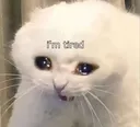 Catastrophe_tired Catastrophe_tired