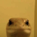 lizord Discord emoji