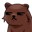BearSquint